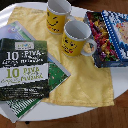 Apartman Pavle Pluzine Luaran gambar