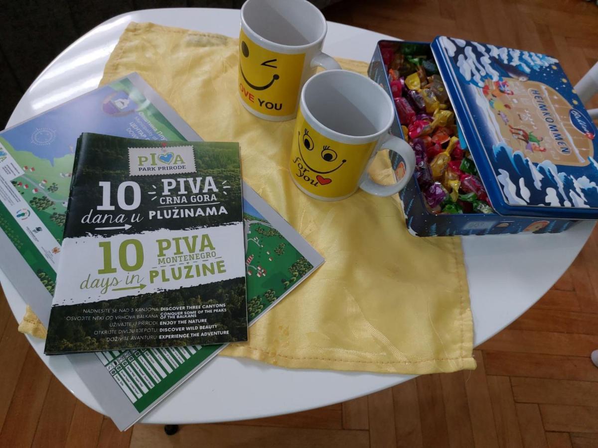 Apartman Pavle Pluzine Luaran gambar