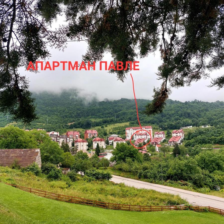 Apartman Pavle Pluzine Luaran gambar