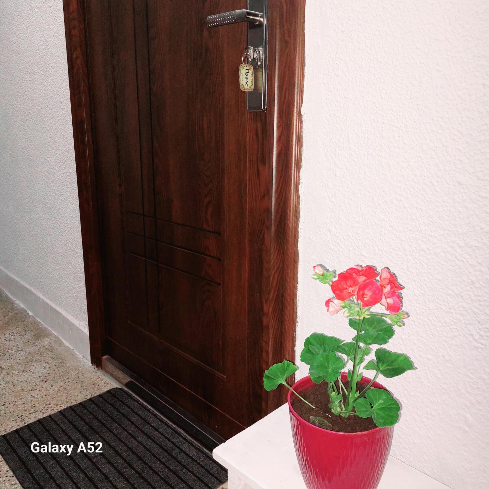 Apartman Pavle Pluzine Luaran gambar